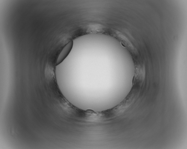 X0000113090621200908281008