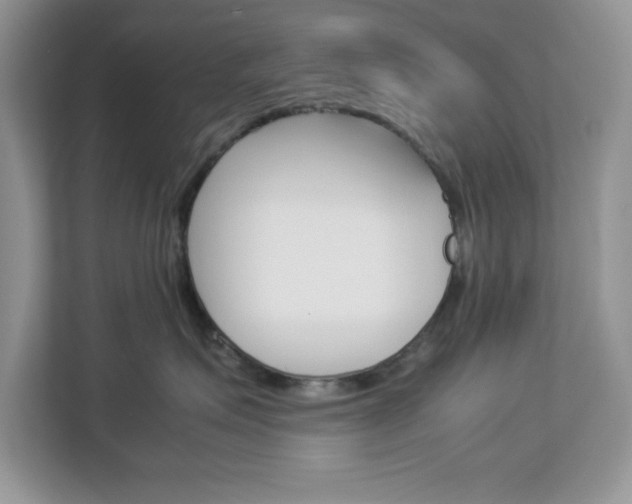 X0000113090623200908281008