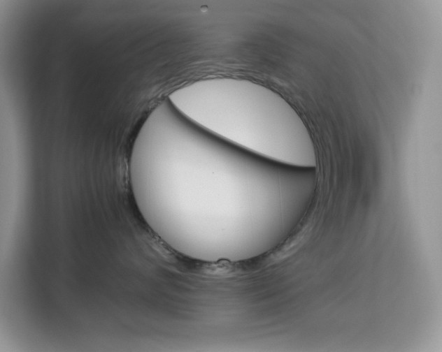 X0000113090624200908281008