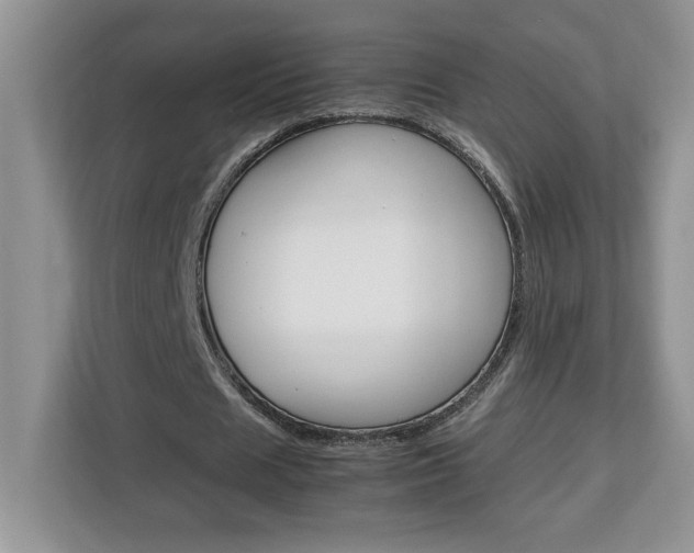 X0000113090625200908281008