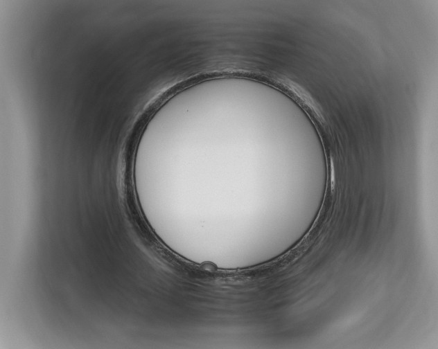 X0000113090627200908281008