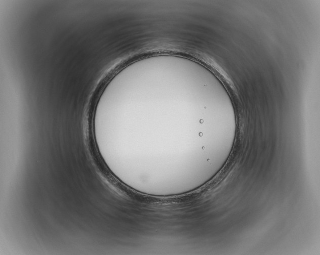 X0000113090629200908281008