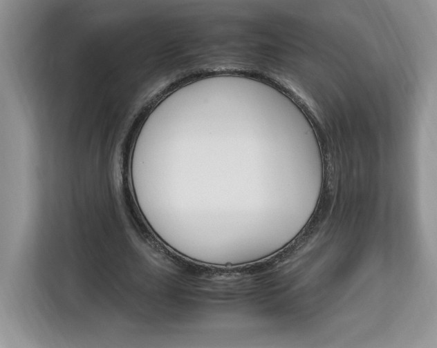 X0000113090631200908281008