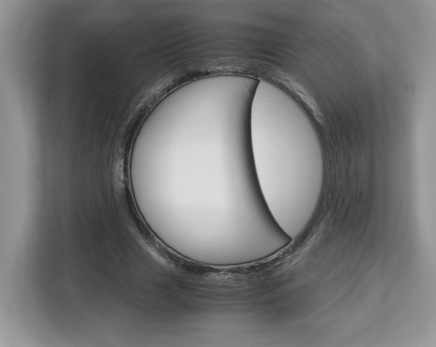 X0000113090633200908281008