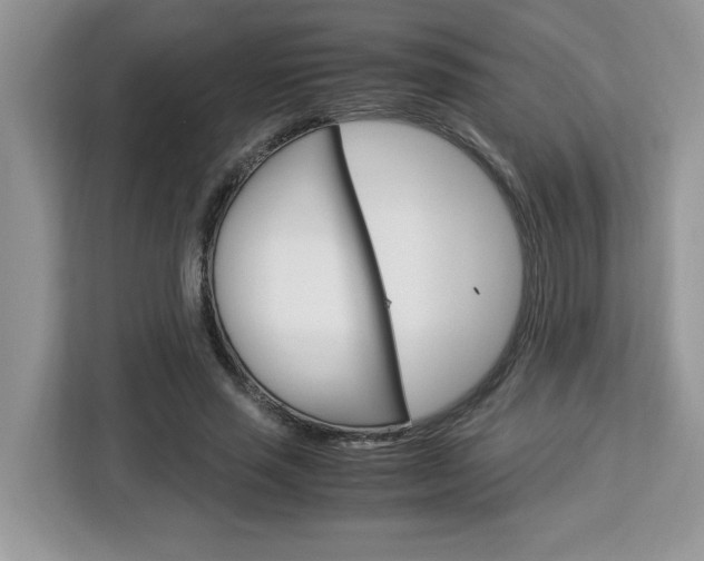 X0000113090637200908281008
