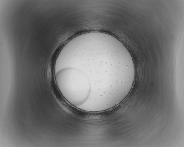 X0000113090638200908281008