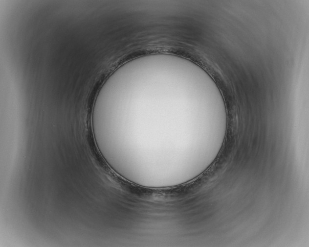 X0000113090641200908281008