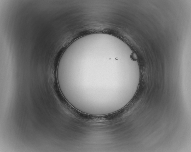 X0000113090642200908281008
