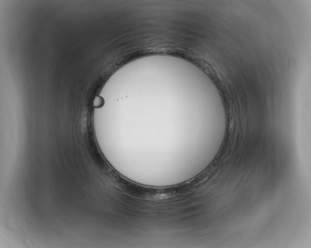X0000113090647200908281008