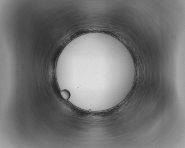 X0000113090648200908281008