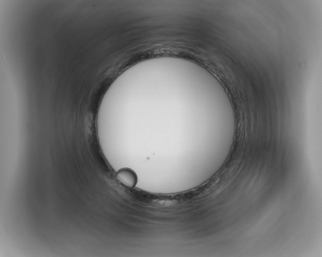 X0000113090649200908281008