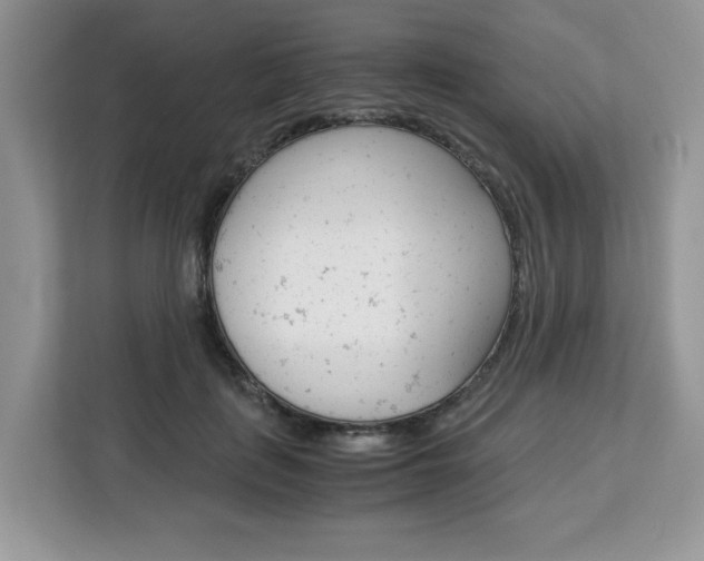 X0000113090651200908281008