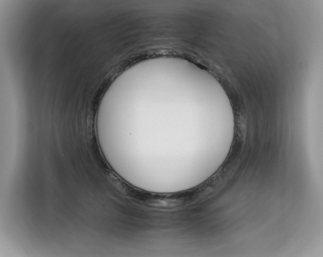 X0000113090657200908281008