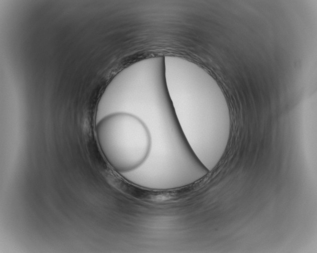 X0000113090662200908281008