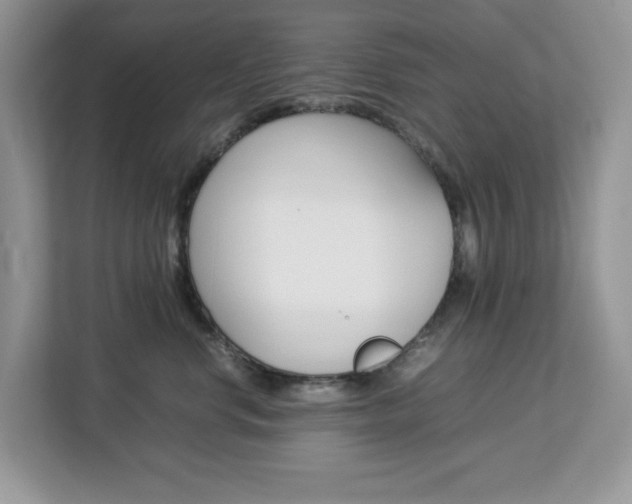 X0000113090668200908281008