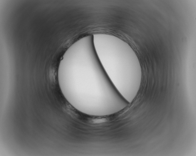 X0000113090669200908281008