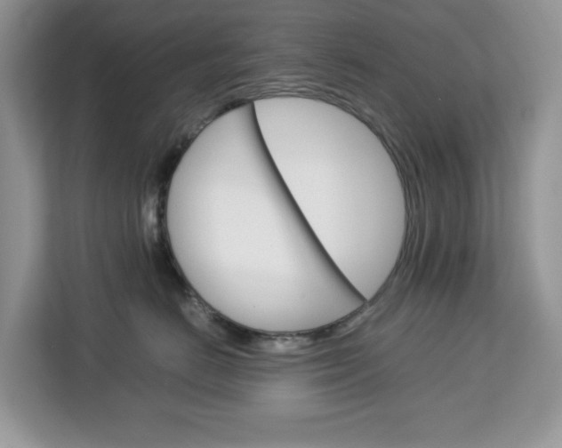 X0000113090670200908281008