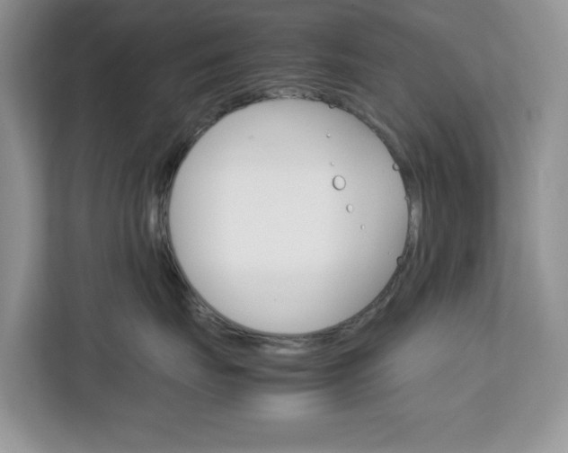 X0000113090671200908281008