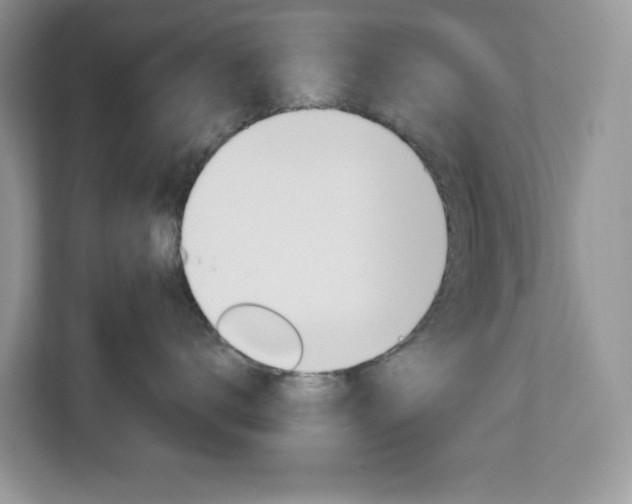X0000113090672200908281008