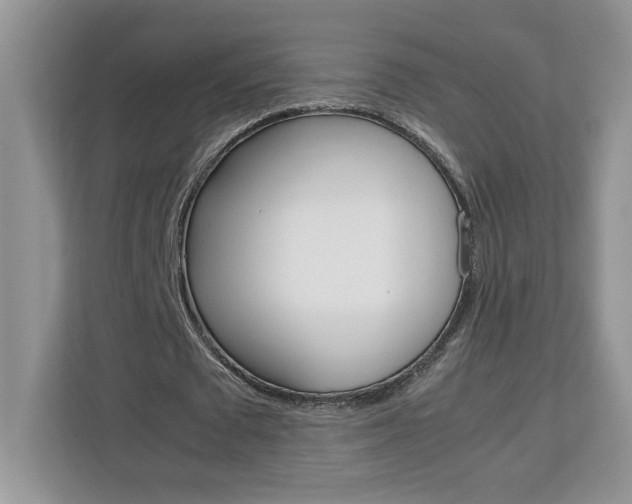X0000113090673200908281008