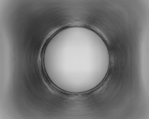 X0000113090674200908281008
