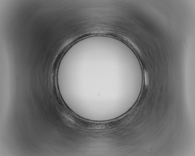 X0000113090675200908281008