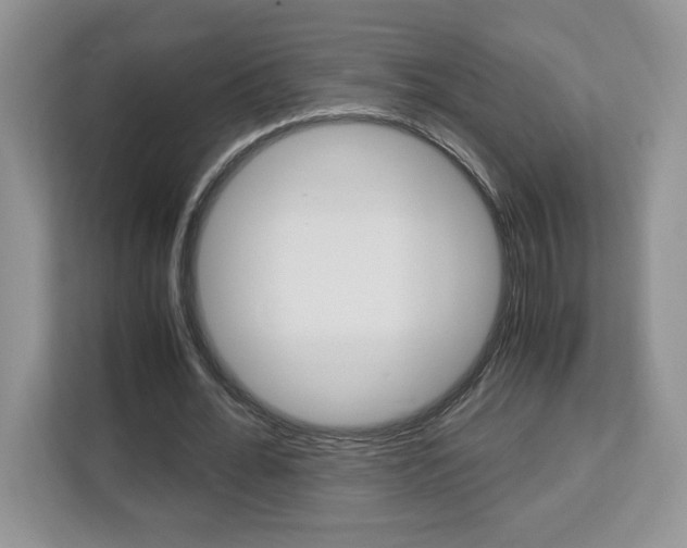 X0000113090676200908281008