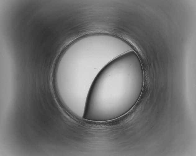 X0000113090677200908281008