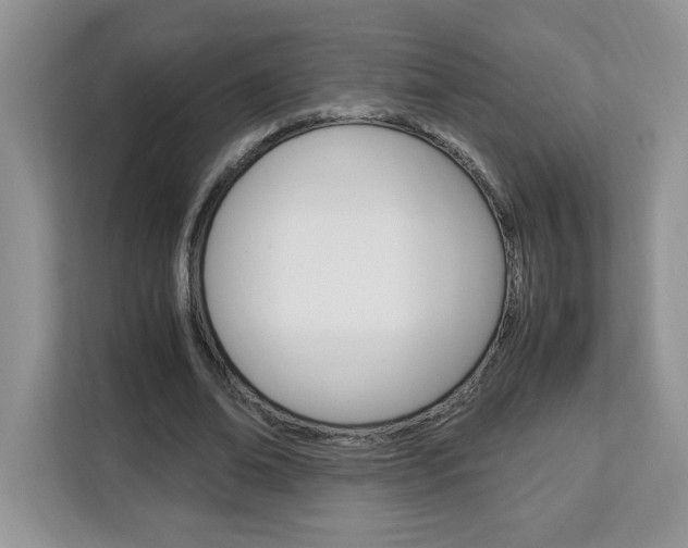 X0000113090678200908281008