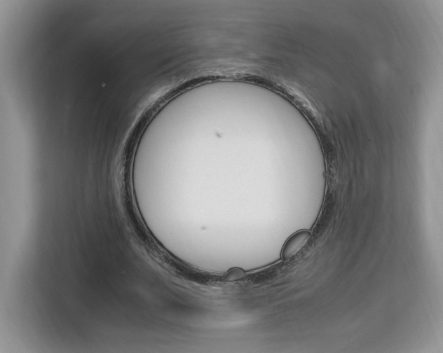 X0000113090679200908281008
