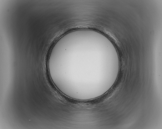 X0000113090681200908281008