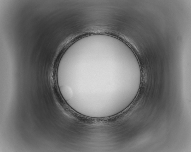 X0000113090682200908281008