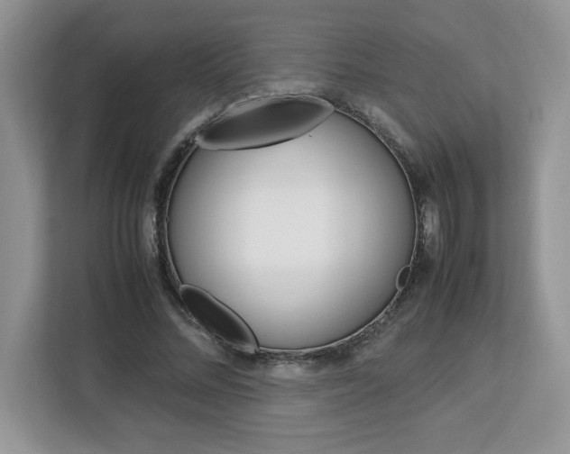 X0000113090684200908281008