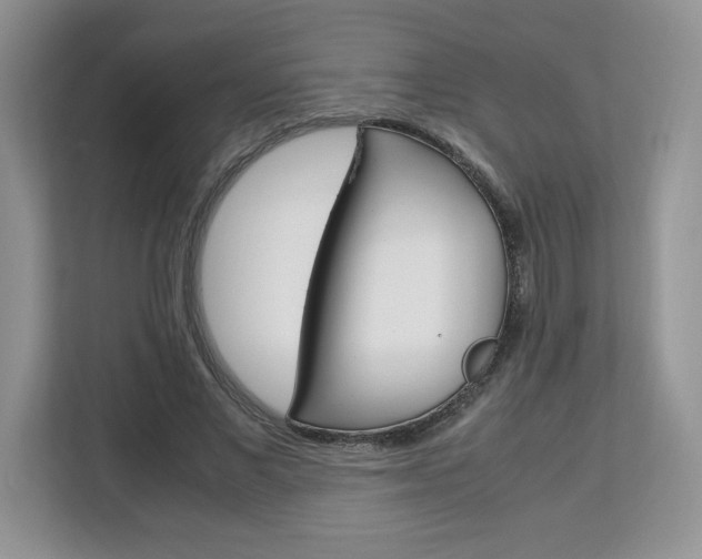 X0000113090685200908281008