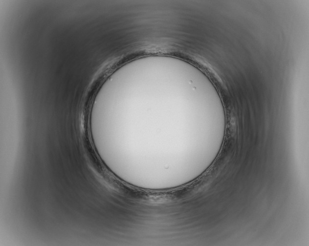 X0000113090686200908281008