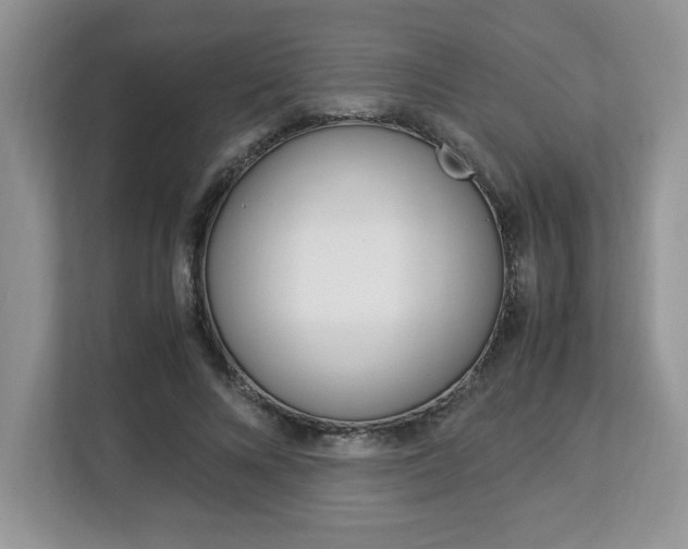 X0000113090688200908281008