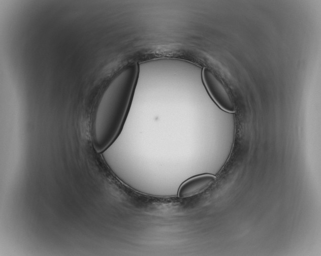 X0000113090689200908281008