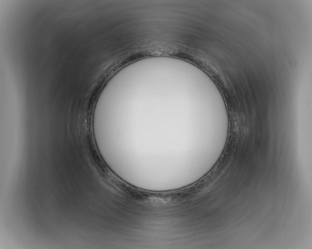 X0000113090690200908281008