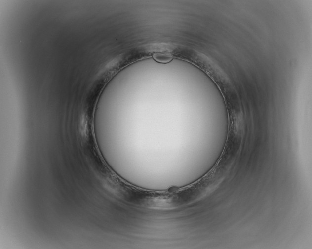 X0000113090692200908281007