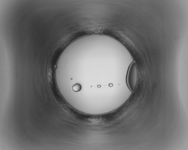 X0000113090693200908281007