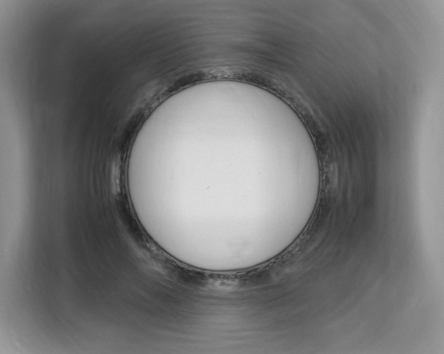 X0000113090694200908281007