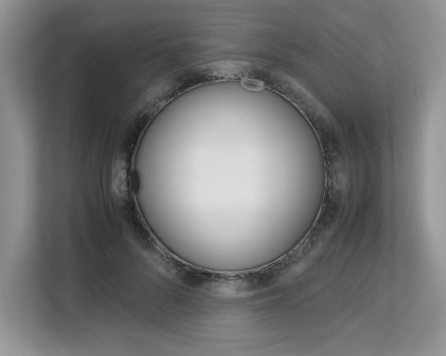 X0000113090696200908281007