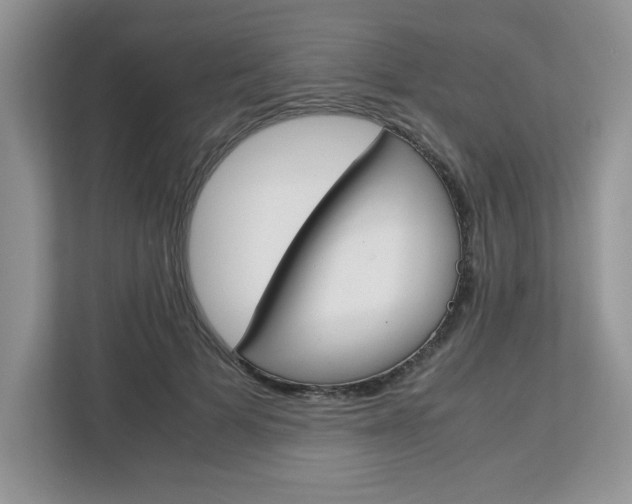 X0000113090697200908281007