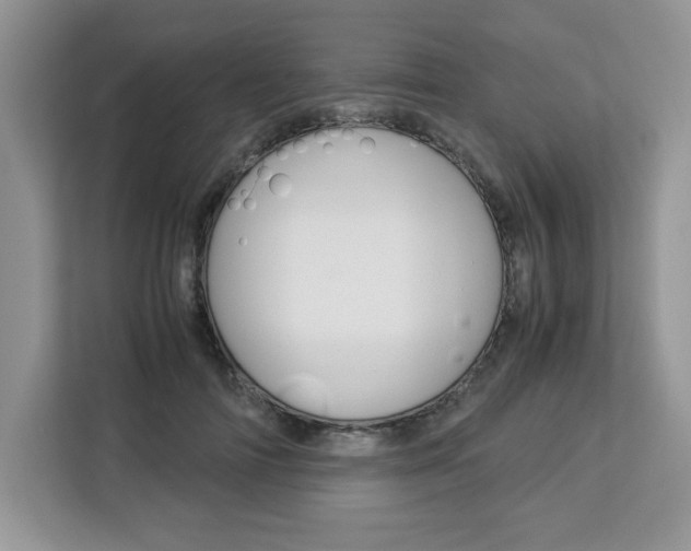 X0000113090698200908281007