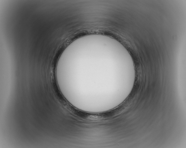X0000113090699200908281007