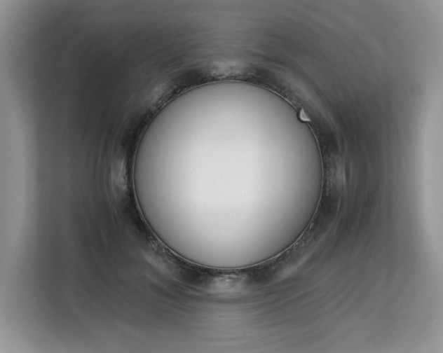 X0000113090700200908281007