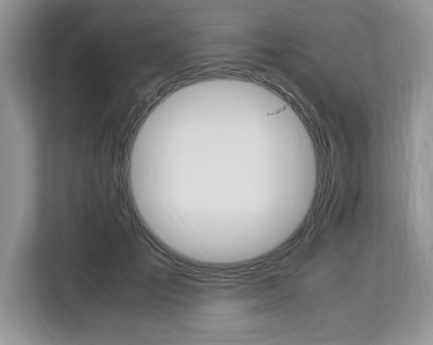 X0000113090701200908281007