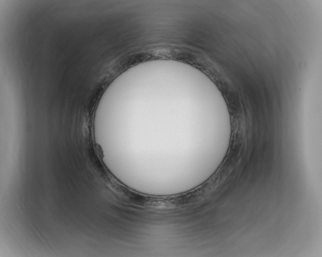 X0000113090702200908281007