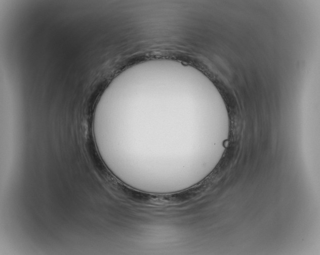 X0000113090703200908281007