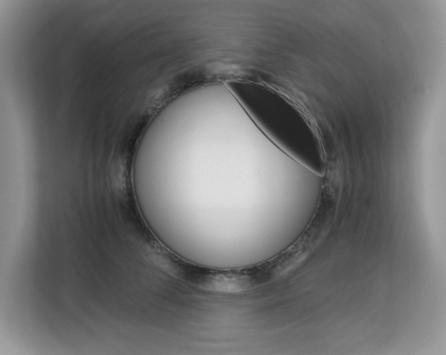 X0000113090708200908281007